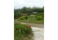 Fincas y Casas Campestres, Venta, Calima (Darién) - $850.000.000