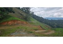 Lotes, Venta, Dagua - $420.000.000