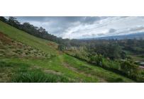 Lotes, Venta, Dagua - $420.000.000