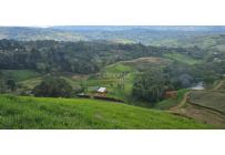 Lotes, Venta, Dagua - $420.000.000