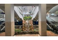 Locales y Bodegas, Alquiler, Centro Ccial. Holguines Trade Center - $6.800.000