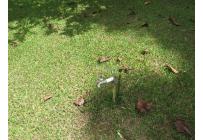 Lotes, Venta, Dagua - $170.000.000