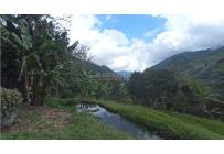 Fincas y Casas Campestres, Venta, Restrepo - $480.000.000