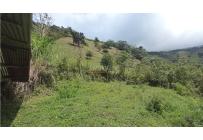 Fincas y Casas Campestres, Venta, Restrepo - $480.000.000