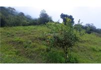 Fincas y Casas Campestres, Venta, Restrepo - $480.000.000