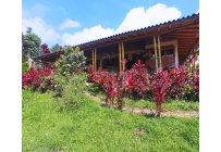 Casas, Venta, Restrepo - $370.000.000