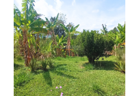 Casas, Venta, Restrepo - $370.000.000