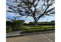 Casas, Venta, Ciudad Pacifica - $440.000.000