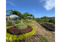 Casas, Venta, Ciudad Pacifica - $440.000.000