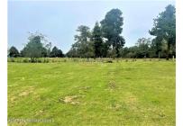 Lotes, Venta, Guasca - $895.000.000