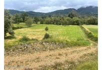 Lotes, Venta, Guasca - $895.000.000