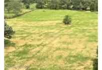 Lotes, Venta, Guasca - $895.000.000