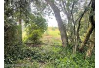 Lotes, Venta, Guasca - $895.000.000