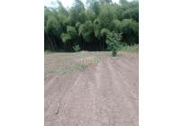 Lotes, Venta, Pereira - $295.000.000