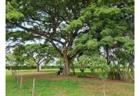 Lotes, Venta, Candelaria - $6.000.000.000