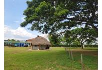 Lotes, Venta, Candelaria - $6.000.000.000