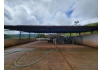 Fincas y Casas Campestres, Venta, La Cumbre - $5.511.000.000