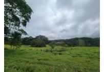 Fincas y Casas Campestres, Venta, La Cumbre - $5.511.000.000