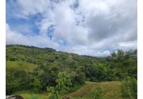 Fincas y Casas Campestres, Venta, La Cumbre - $5.511.000.000