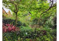 Casas, Venta, Arboleda - $1.300.000.000