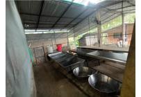 Fincas y Casas Campestres, Venta, Guacarí - $450.000.000