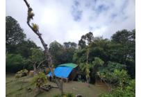 Casas, Alquiler, La Elvira - $1.800.000