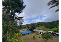 Casas, Alquiler, La Elvira - $1.800.000