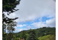 Casas, Alquiler, La Elvira - $1.800.000