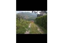 Lotes, Venta, Montebello - $380.000.000