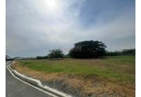 Lotes, Venta, Palmira - $335.000.000