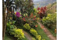 Fincas y Casas Campestres, Venta, Obando - $1.350.000.000