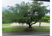 Apartamentos, Alquiler, Ciudad Bochalema - $1.500.000