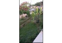 Casas, Venta, Calima (Darién) - $450.000.000