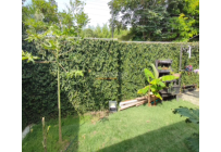 Casas, Venta, Jamundí - $750.000.000