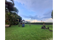 Casas, Alquiler, Pereira - $8.000.000