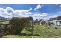 Fincas y Casas Campestres, Venta, Chía - $11.700.000.000