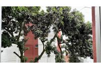 Apartamentos, Venta, Cuarto de Legua - $264.000.000