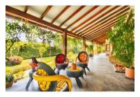 Fincas y Casas Campestres, Venta, Palmira - $1.400.000.000