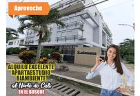 Apartaestudios, Alquiler, El Bosque - $1.000.000