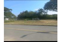 Lotes, Venta, Palmira - $345.000.000