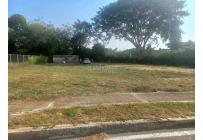 Lotes, Venta, Palmira - $345.000.000