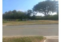 Lotes, Venta, Palmira - $345.000.000