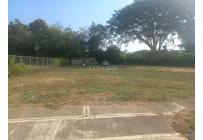 Lotes, Venta, Palmira - $345.000.000