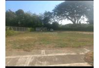 Lotes, Venta, Palmira - $345.000.000