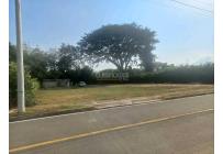 Lotes, Venta, Palmira - $345.000.000