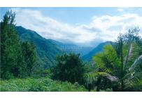 Lotes, Venta, Pance - $350.000.000