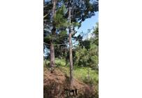 Lotes, Venta, Pance - $350.000.000