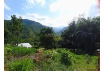 Lotes, Venta, Pance - $350.000.000