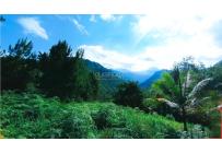 Lotes, Venta, Pance - $350.000.000