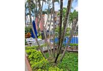 Apartamentos, Alquiler, Valle del Lili